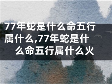 77年蛇是什么命五行属什么,77年蛇是什么命五行属什么火