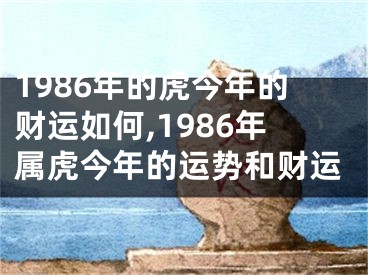 1986年的虎今年的财运如何,1986年属虎今年的运势和财运