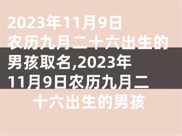 2023年11月9日农历九月二十六出生的男孩取名,2023年11月9日农历九月二十六出生的男孩