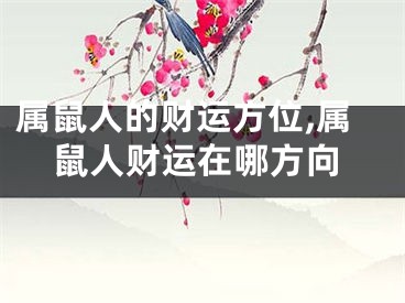 属鼠人的财运方位,属鼠人财运在哪方向
