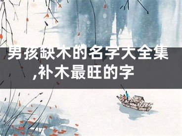 男孩缺木的名字大全集,补木最旺的字