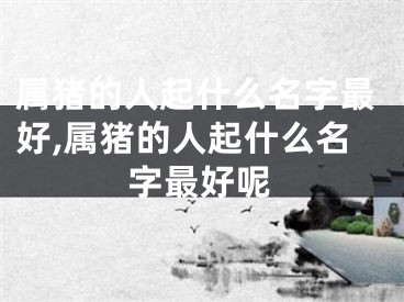 属猪的人起什么名字最好,属猪的人起什么名字最好呢
