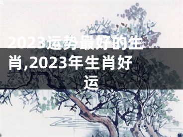 2023运势最好的生肖,2023年生肖好运