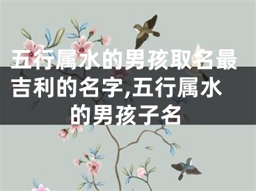 五行属水的男孩取名最吉利的名字,五行属水的男孩子名