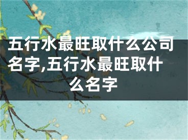 五行水最旺取什么公司名字,五行水最旺取什么名字
