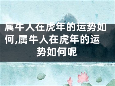 属牛人在虎年的运势如何,属牛人在虎年的运势如何呢