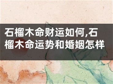 石榴木命财运如何,石榴木命运势和婚姻怎样