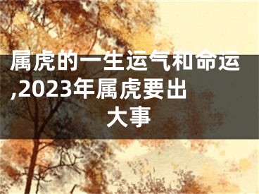 属虎的一生运气和命运,2023年属虎要出大事