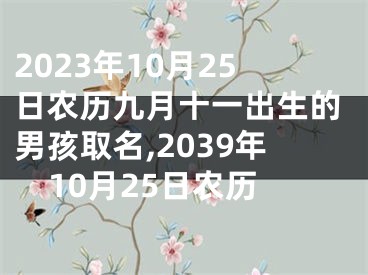 2023年10月25日农历九月十一出生的男孩取名,2039年10月25日农历