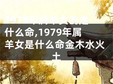 1979年属羊女的是什么命,1979年属羊女是什么命金木水火土