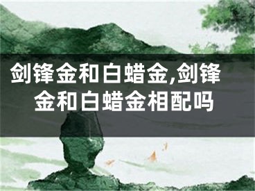 剑锋金和白蜡金,剑锋金和白蜡金相配吗