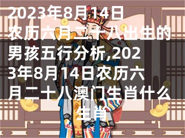2023年8月14日农历六月二十八出生的男孩五行分析,2023年8月14日农历六月二十八澳门生肖什么生肖