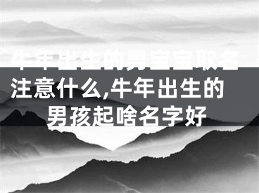 牛年出生的男宝宝取名注意什么,牛年出生的男孩起啥名字好