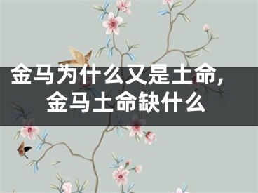 金马为什么又是土命,金马土命缺什么