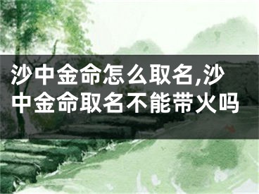 沙中金命怎么取名,沙中金命取名不能带火吗