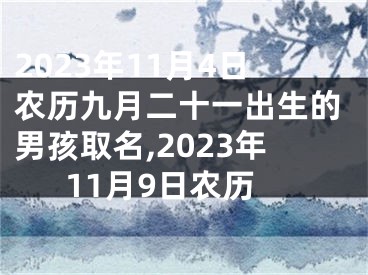 2023年11月4日农历九月二十一出生的男孩取名,2023年11月9日农历