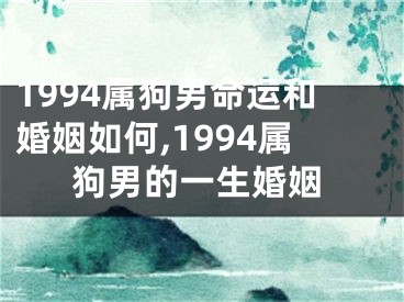 1994属狗男命运和婚姻如何,1994属狗男的一生婚姻