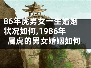 86年虎男女一生婚姻状况如何,1986年属虎的男女婚姻如何