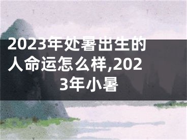 2023年处暑出生的人命运怎么样,2023年小暑