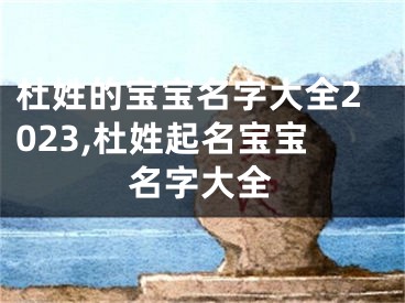 杜姓的宝宝名字大全2023,杜姓起名宝宝名字大全