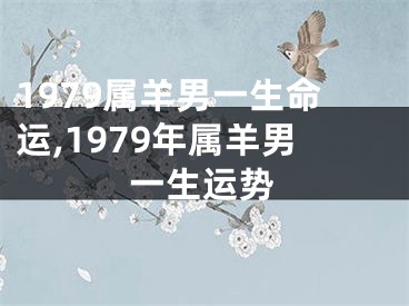 1979属羊男一生命运,1979年属羊男一生运势