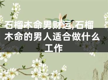 石榴木命男财运,石榴木命的男人适合做什么工作
