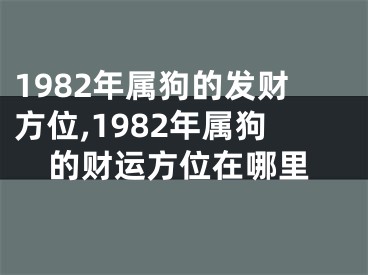 1982年属狗的发财方位,1982年属狗的财运方位在哪里