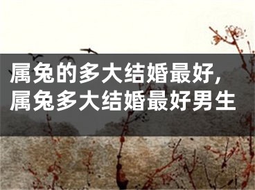 属兔的多大结婚最好,属兔多大结婚最好男生