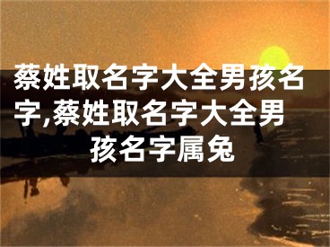 蔡姓取名字大全男孩名字,蔡姓取名字大全男孩名字属兔