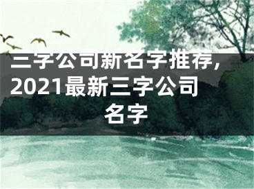 三字公司新名字推荐,2021最新三字公司名字
