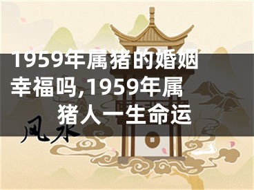 1959年属猪的婚姻幸福吗,1959年属猪人一生命运