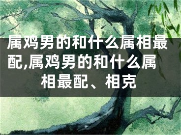 属鸡男的和什么属相最配,属鸡男的和什么属相最配、相克