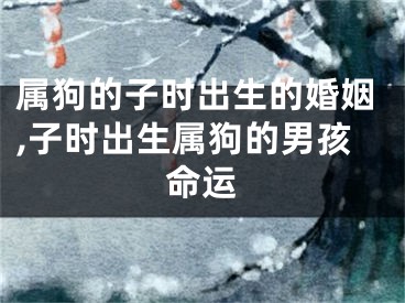 属狗的子时出生的婚姻,子时出生属狗的男孩命运