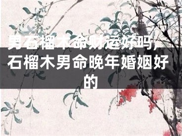 男石榴木命财运好吗,石榴木男命晚年婚姻好的