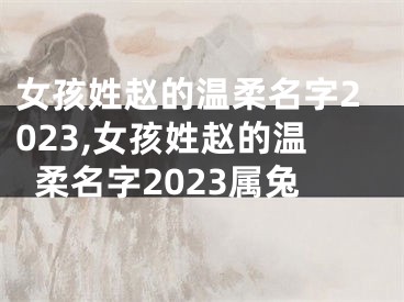 女孩姓赵的温柔名字2023,女孩姓赵的温柔名字2023属兔