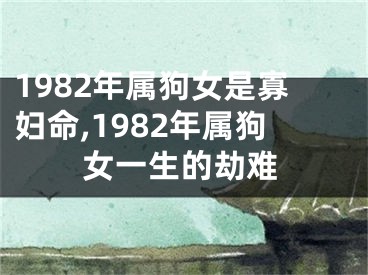 1982年属狗女是寡妇命,1982年属狗女一生的劫难