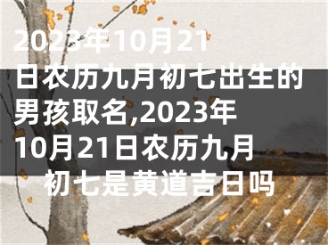2023年10月21日农历九月初七出生的男孩取名,2023年10月21日农历九月初七是黄道吉日吗