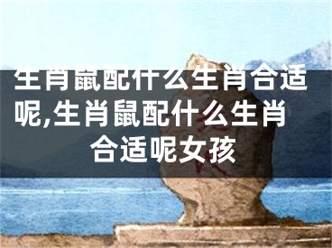 生肖鼠配什么生肖合适呢,生肖鼠配什么生肖合适呢女孩