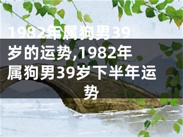 1982年属狗男39岁的运势,1982年属狗男39岁下半年运势