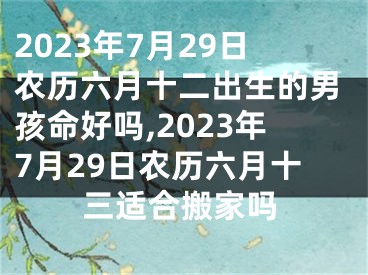 2023年7月29日农历六月十二出生的男孩命好吗,2023年7月29日农历六月十三适合搬家吗