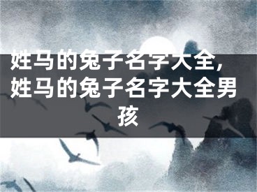 姓马的兔子名字大全,姓马的兔子名字大全男孩