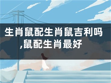生肖鼠配生肖鼠吉利吗,鼠配生肖最好
