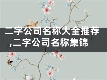 二字公司名称大全推荐,二字公司名称集锦