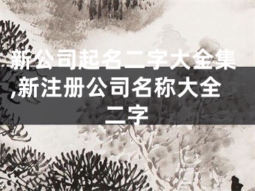 新公司起名二字大全集,新注册公司名称大全二字