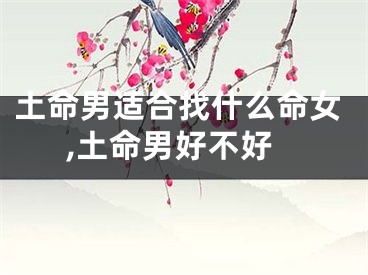 土命男适合找什么命女,土命男好不好