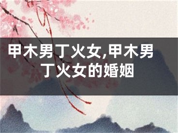 甲木男丁火女,甲木男丁火女的婚姻