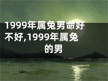 1999年属兔男命好不好,1999年属兔的男