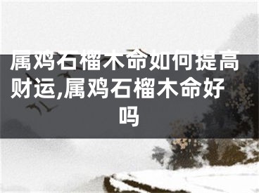 属鸡石榴木命如何提高财运,属鸡石榴木命好吗
