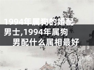 1994年属狗的婚配男士,1994年属狗男配什么属相最好
