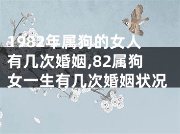 1982年属狗的女人有几次婚姻,82属狗女一生有几次婚姻状况